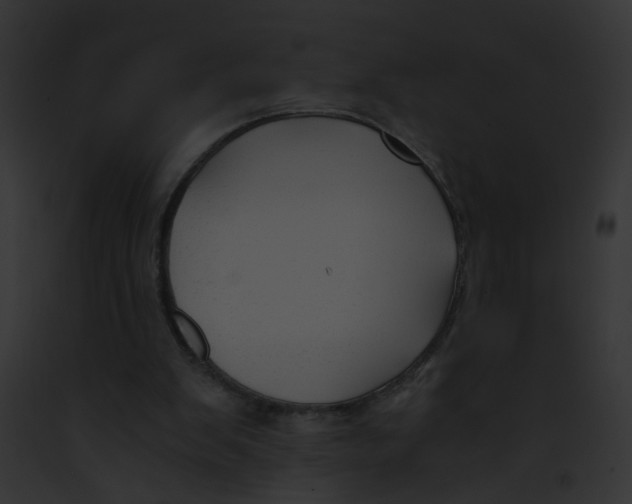 X0000091880103200710031129