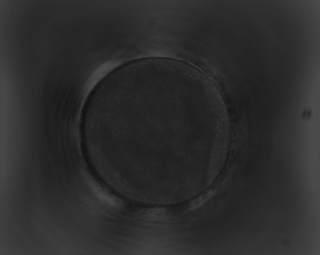 X0000091880104200710031129