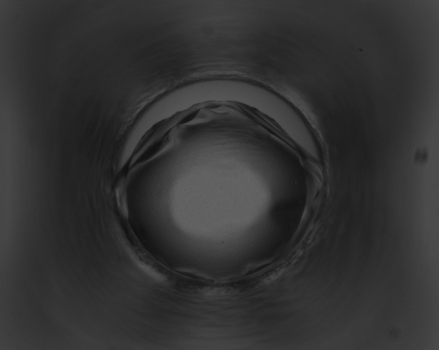 X0000091880105200710031129