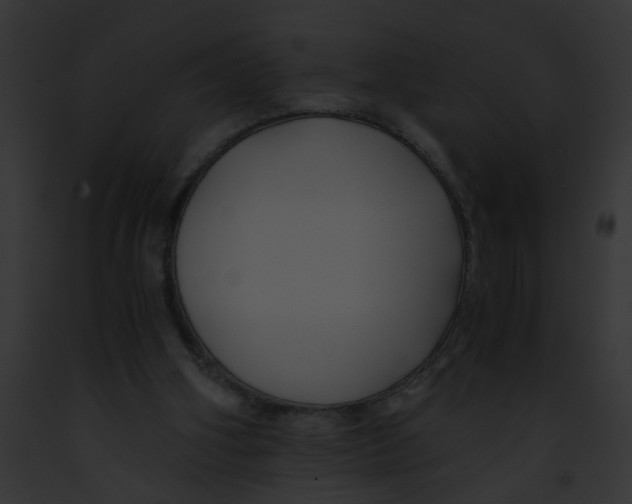 X0000091880106200710031129