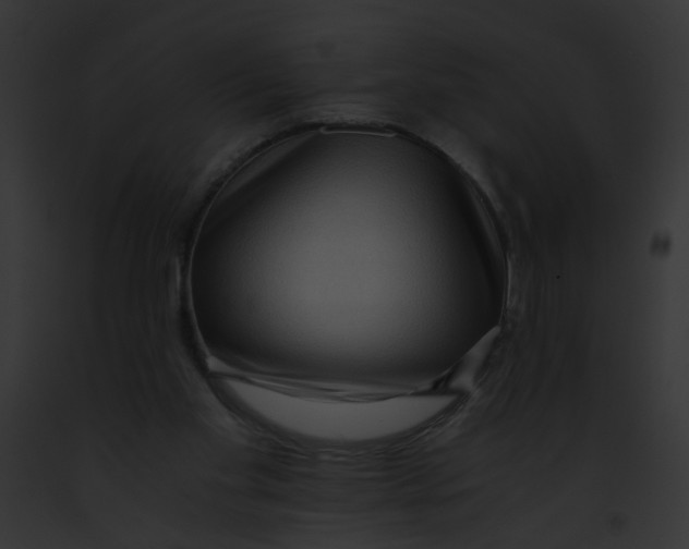 X0000091880109200710031129