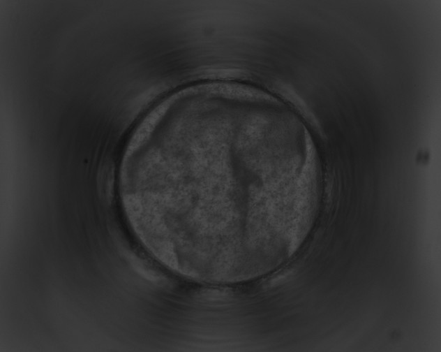 X0000091880110200710031129