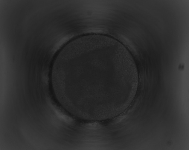 X0000091880112200710031129