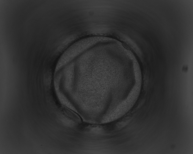 X0000091880113200710031129