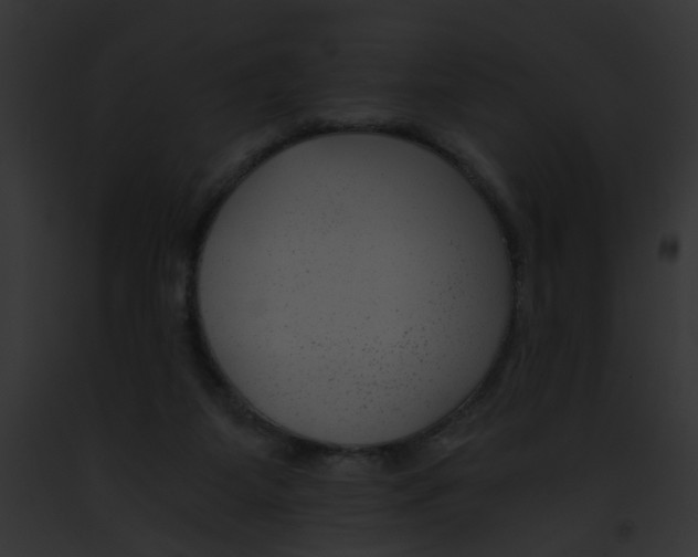 X0000091880115200710031129