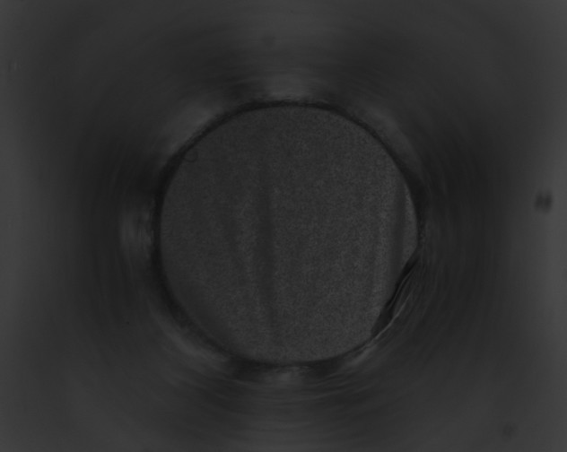 X0000091880116200710031129