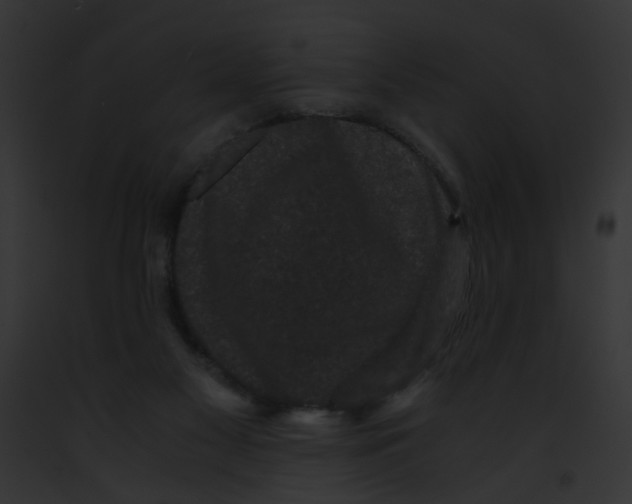 X0000091880117200710031129