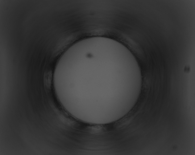 X0000091880118200710031129