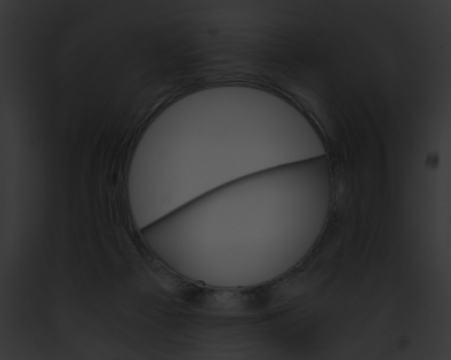 X0000091880121200710031129