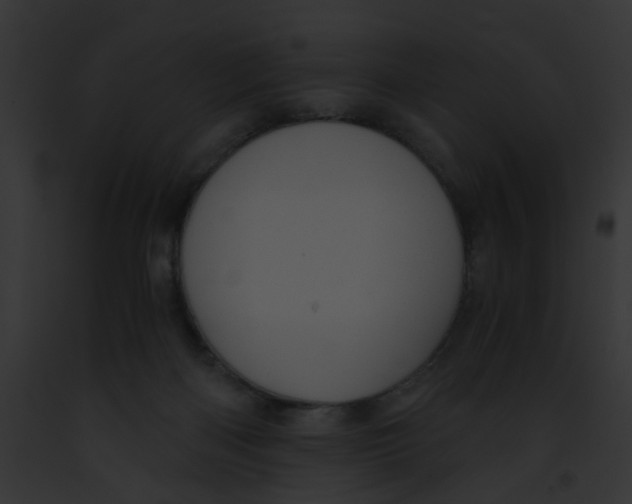 X0000091880122200710031129