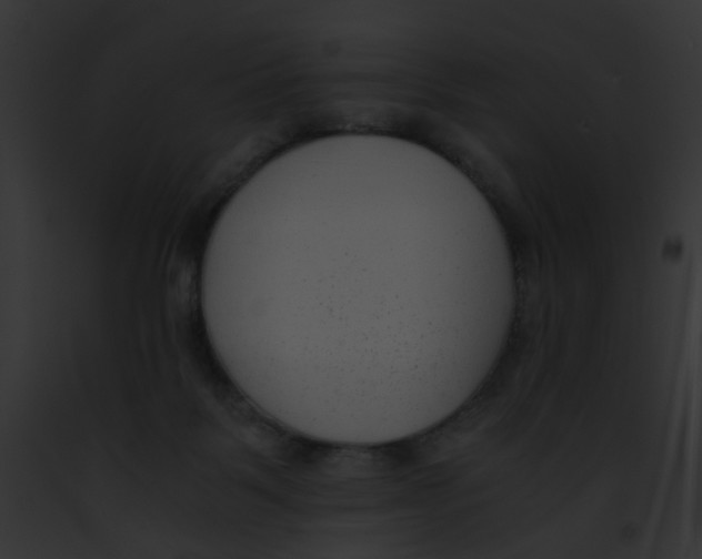 X0000091880123200710031129