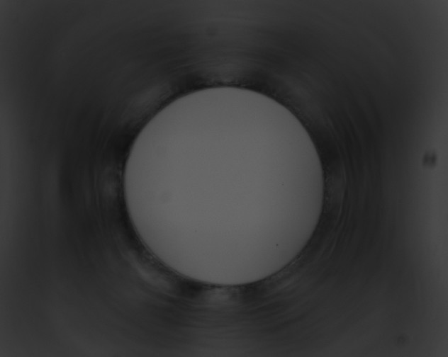 X0000091880126200710031129