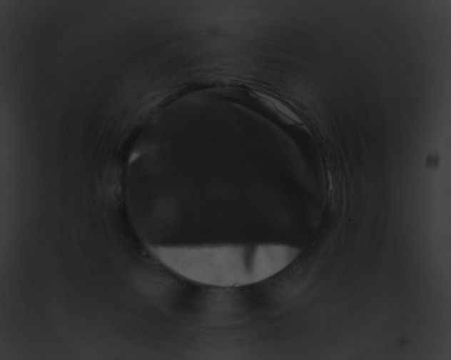 X0000091880127200710031129