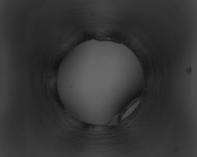 X0000091880129200710031129