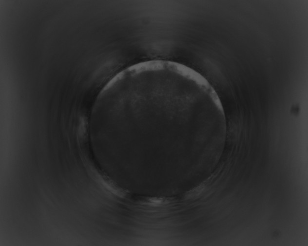 X0000091880130200710031129