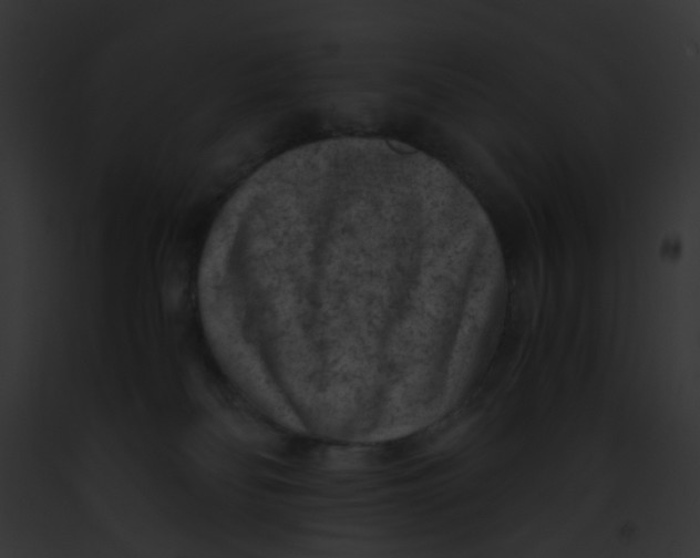 X0000091880134200710031129