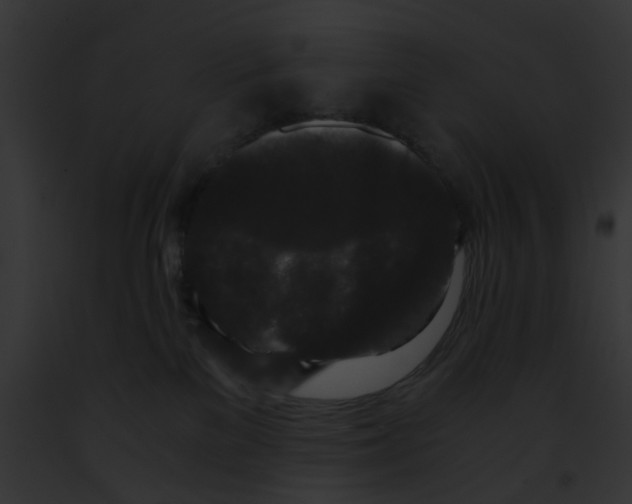 X0000091880137200710031129