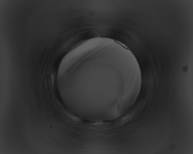 X0000091880139200710031129