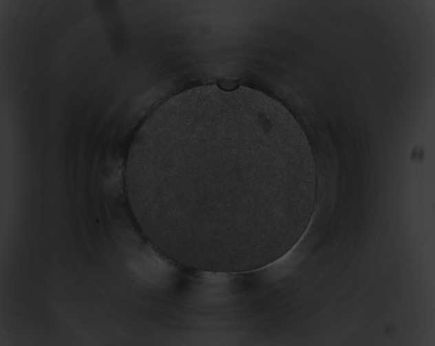 X0000091880144200710031129