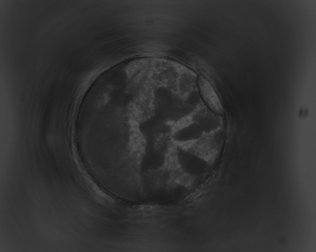 X0000091880145200710031128