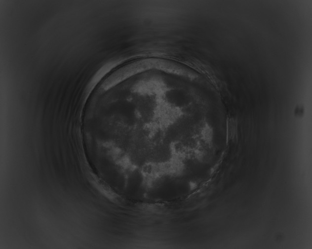 X0000091880147200710031128