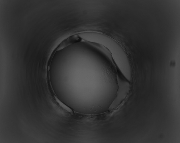 X0000091880148200710031128