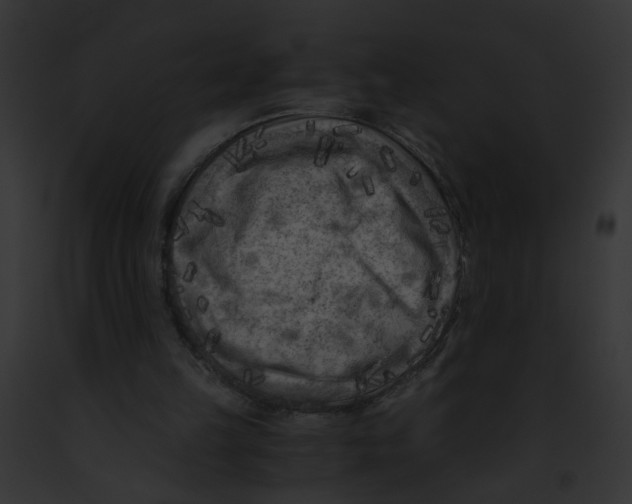 X0000091880149200710031128