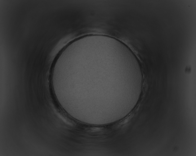 X0000091880151200710031128