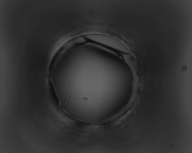 X0000091880152200710031128