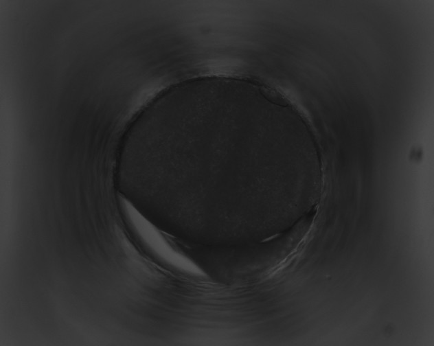 X0000091880154200710031128