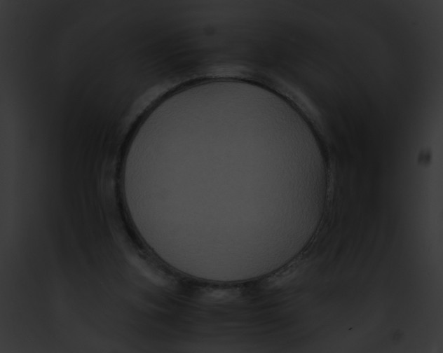 X0000091880155200710031128