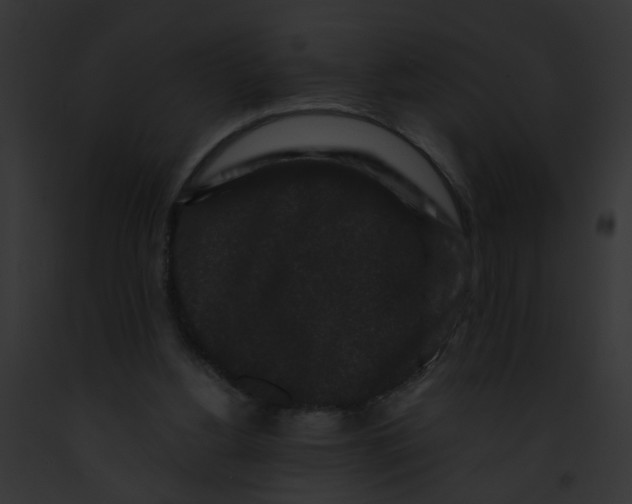 X0000091880156200710031128