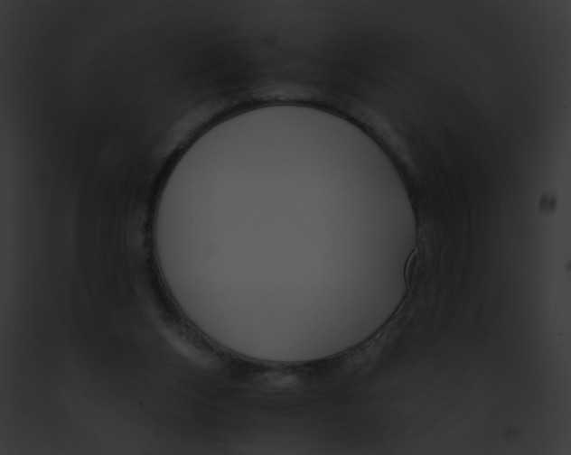 X0000091880159200710031128