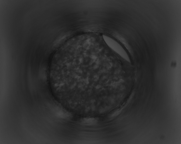 X0000091880161200710031128