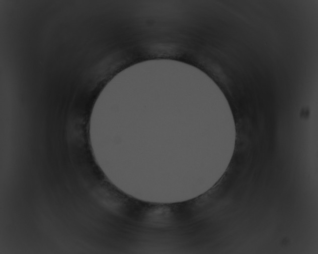 X0000091880162200710031128