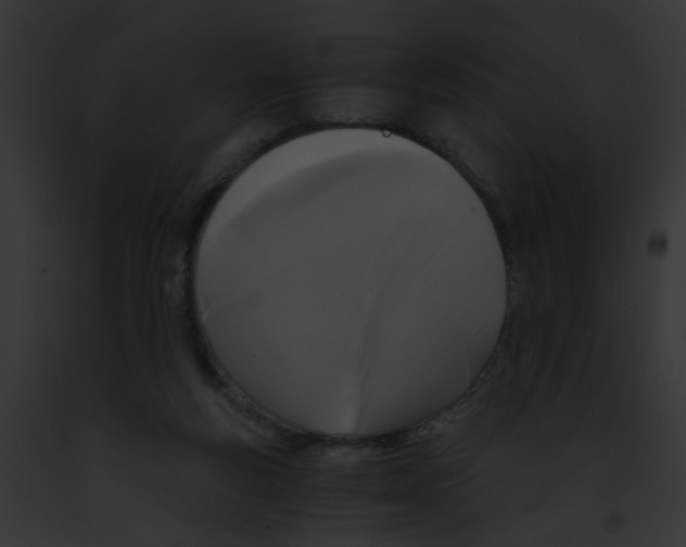 X0000091880163200710031128