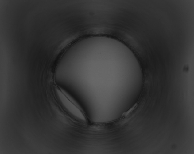 X0000091880164200710031128