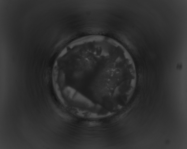 X0000091880165200710031128