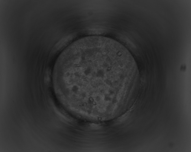 X0000091880166200710031128