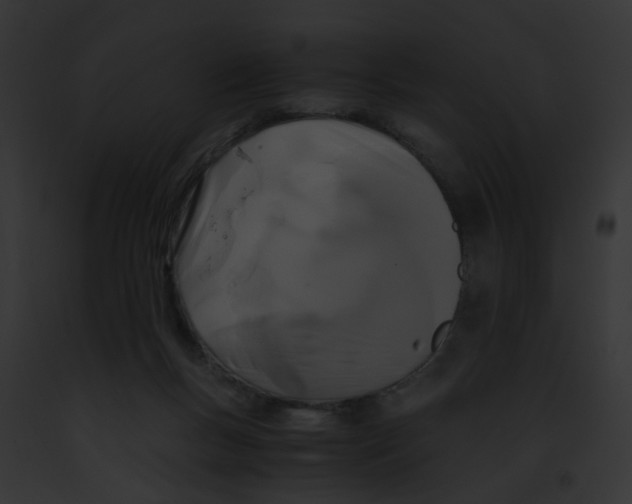 X0000091880167200710031128