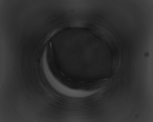 X0000091880168200710031128