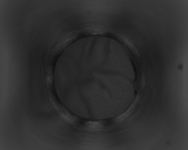 X0000091880170200710031128