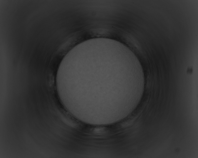 X0000091880173200710031128