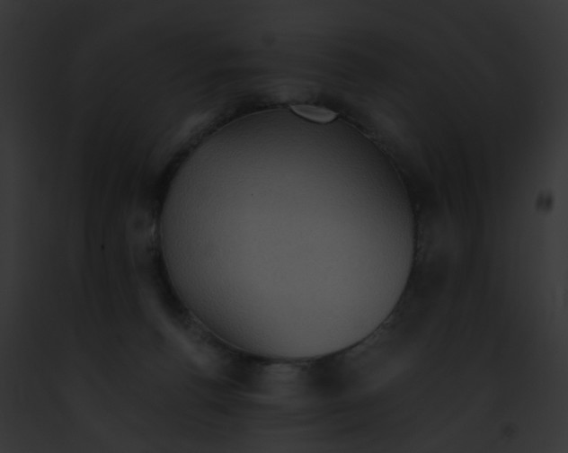 X0000091880176200710031128