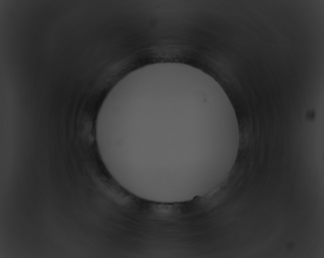 X0000091880187200710031129