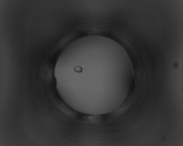 X0000091880188200710031129