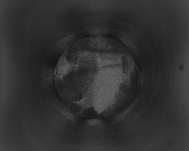 X0000091880189200710031129