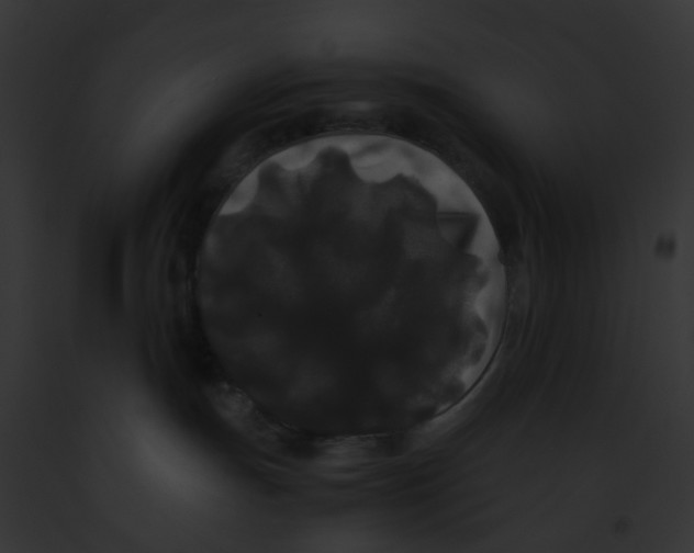 X0000091880191200710031129