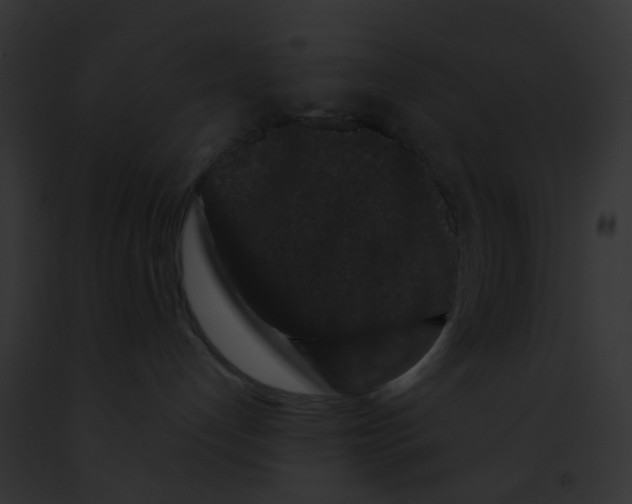 X0000091880192200710031129