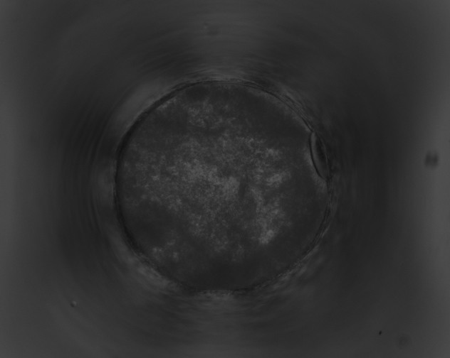 X0000091880194200710031128